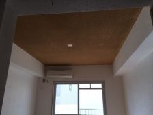 【居室・リビング】　天井アクセント塗装済み（部屋ごとに違います）